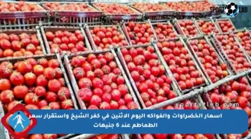 أسعار الخضراوات والفواكه اليوم الاثنين في كفر الشيخ واستقرار سعر الطماطم عند 6 جنيهات